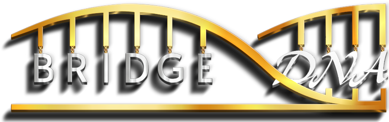 bridge dna logo